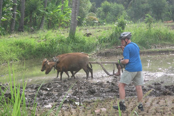 Snorkeling & Trekking at West Bali National Park - What to bring for comfort and better sightings