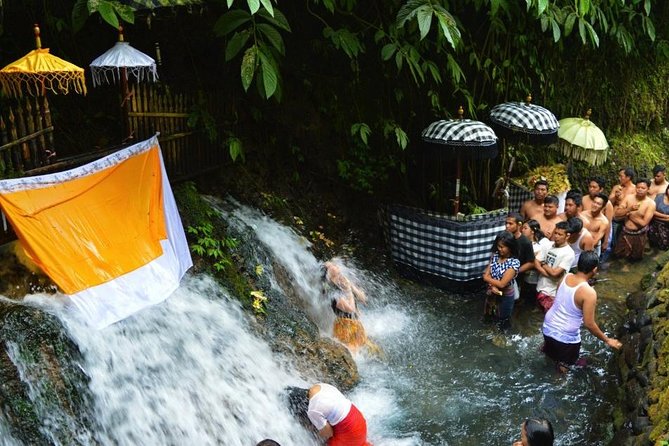 Spiritual Purification and Local Healer Visit Tour (ALL INCLUDED) - Ubud spiritual reset: what your 4 to 7 hour day includes