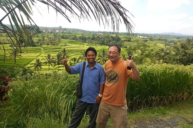 Tanah Lot and Jatiluwih Unesco Rice Terrace Private Tour - Price and value: what $65 per person buys on this specific route