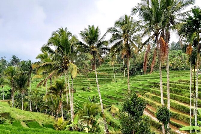Tanah Lot and North Bali Private Tour - All inclusive - Ulun Danu Bratan: Temple on Lake Bratan’s Calm Water