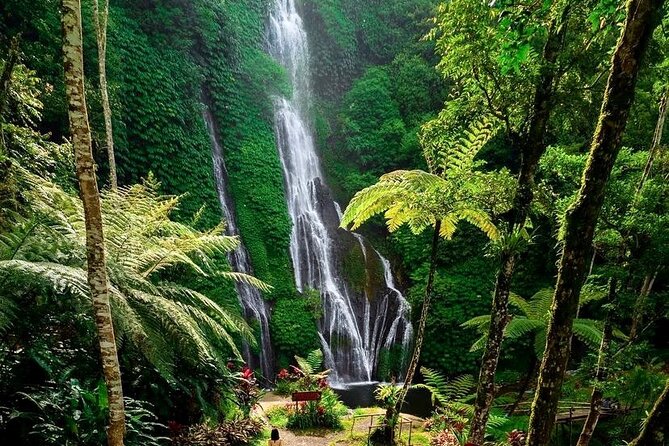 Tanah Lot and North Bali Tour: Scenic Journey - Jatiluwih Green Land: UNESCO Rice Terraces Plus a Lunch Break