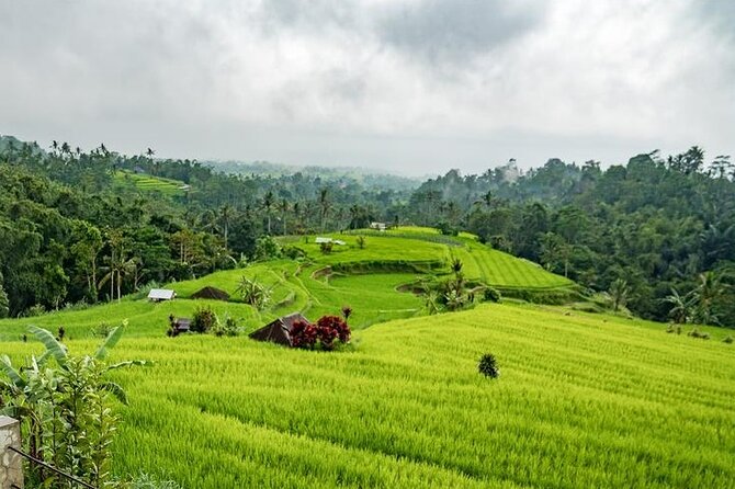 Tanah Lot and North Bali Tour: Scenic Journey - Pura Batu Bolong and Tanah Lot: Sea Temples With Big Photo Energy