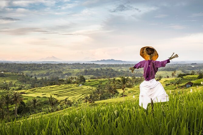 Tanah Lot, Jatiluwih Rice Terrace and Waterfall Day Tour - Ulun Danu Lake Beratan Temple: Dewi Danu and the lakeside view