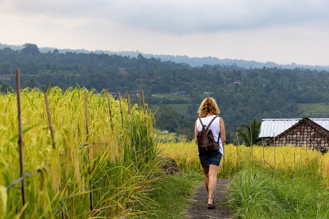 Tanah Lot, Jatiluwih Rice Terrace and Waterfall Day Tour - Guides make it feel personal: stories, humor, and better photos