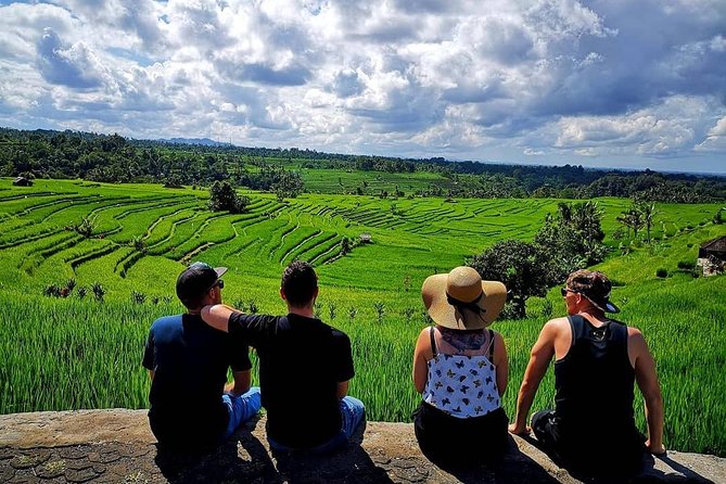 Tanah Lot - Jatiluwih (UNESCO) - Bedugul and Ulun Danu Temple Tour - Price and value: $38 plus temple entry you can plan