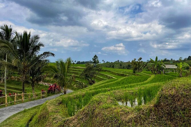 Tanah Lot - Ulun Danu Beratan Temple - Scenic Countryside Tour - The value of $85 per group, up to 4 people