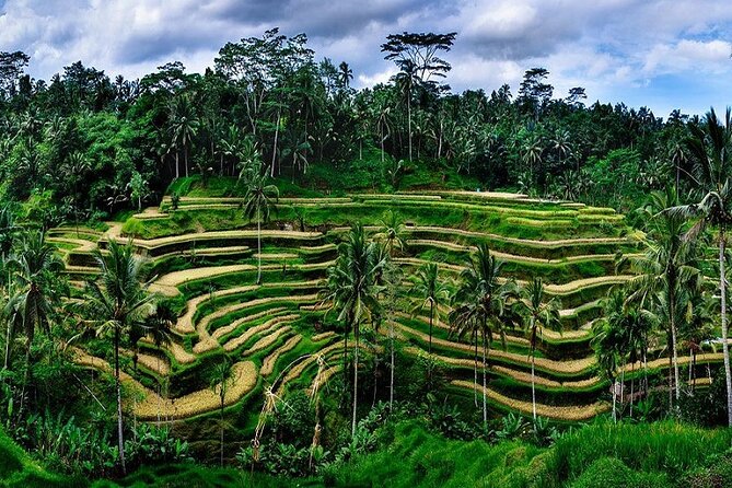 The Popular Of Ubud Private Day Tour - Stop 3: Tirta Empul Temple, why the water ritual grabs attention