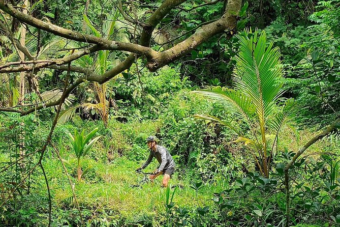 The Volcano Trail – Epic Volcano Cycling Adventure - Value Check: Is $80 Worth It for a Full-Day Volcano Trail Ride?