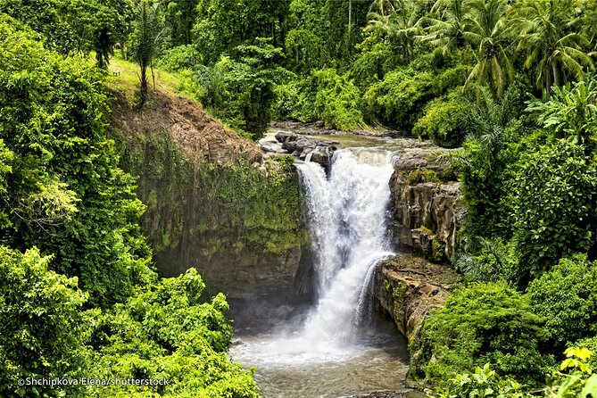 Three Main spot Bali Waterfall with Swing - Price and Value: What $46 Covers, and What Costs Extra