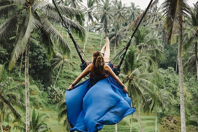 Tirta Empul temple, Jungle Swing and Waterfalls - Private Tour - A full Ubud day that mixes classic views with real temple culture