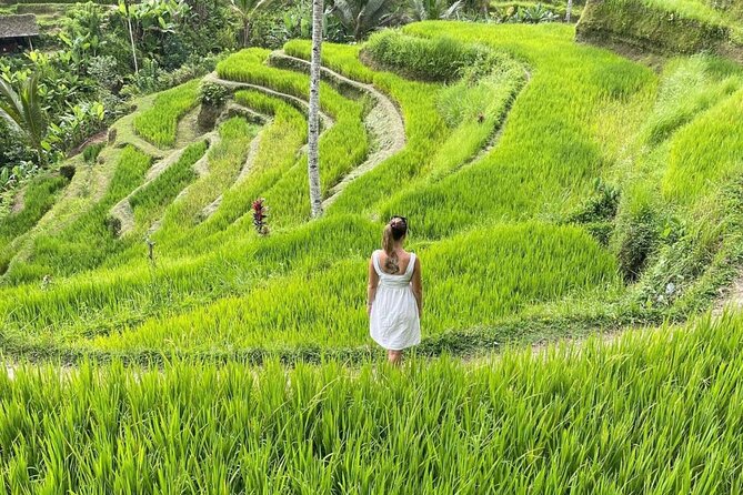 Tirta Empul temple, Jungle Swing and Waterfalls - Private Tour - Stop 1: Tegalalang Rice Terrace, green views and local irrigation