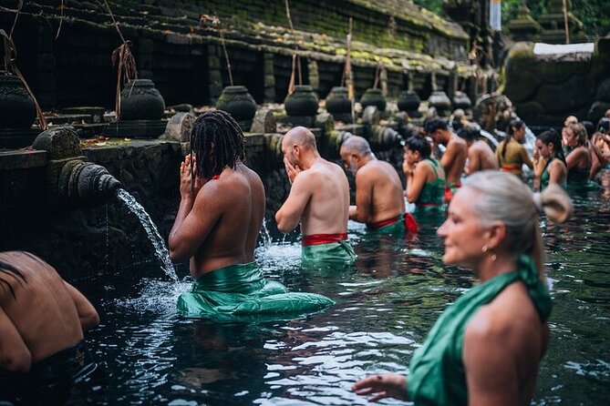 Top Ubud Attractions: Private Full-Day Guided Tour - Key highlights you should care about