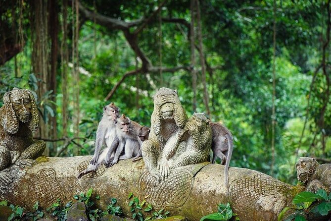 Top Ubud Attractions: Private Full-Day Guided Tour - Sacred Monkey Forest: fun only if you follow the rules