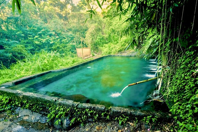 Trekking and Sightseeing tour with lunch - The Moderate 4-Hour Hike Through Bamboo Forest and Rice Edges