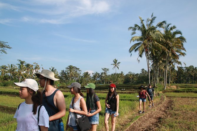 Trekking and Sightseeing tour with lunch - Timing and Getting There from Your Ubud Hotel