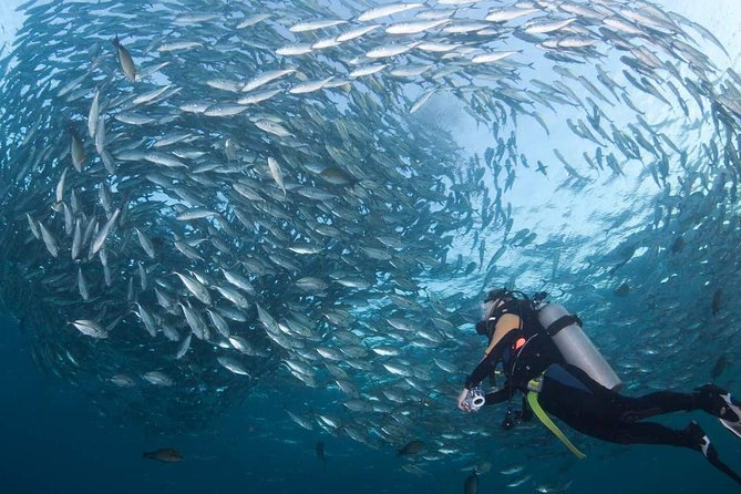 Tulamben Diving Tour Shipwreck USS Bali - Getting Picked Up For Tulamben: The Morning Drive Matters