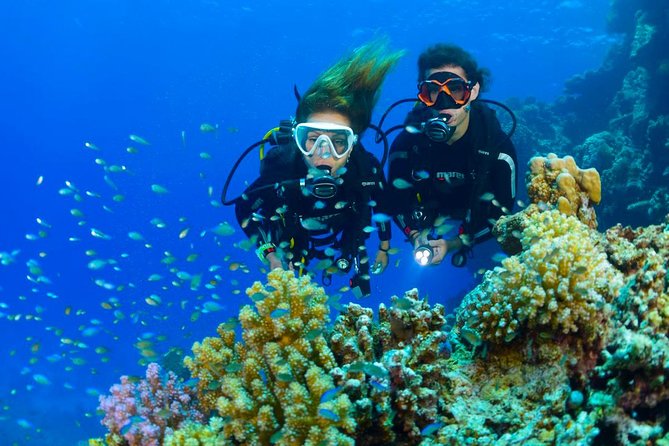 Tulamben Diving Tour Shipwreck USS Bali - Two 35-Minute Shore Sessions At Tulamben: How The Day Is Structured