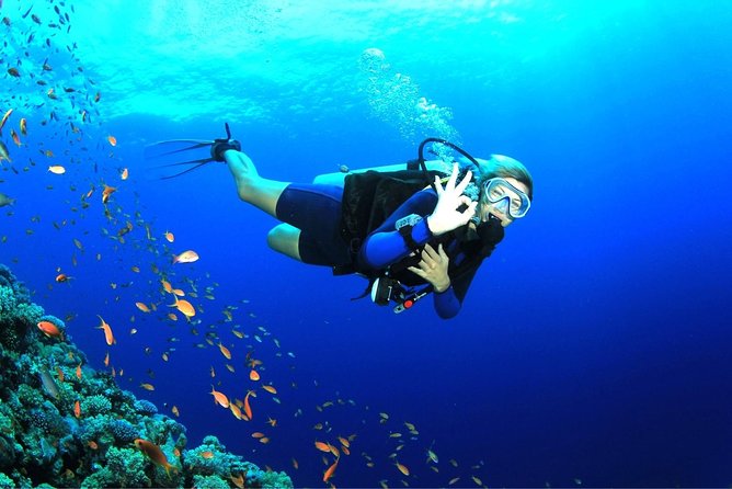 Tulamben Diving Tour Shipwreck USS Bali - Price And Value: What $102.57 Covers (And What It Doesn’t)