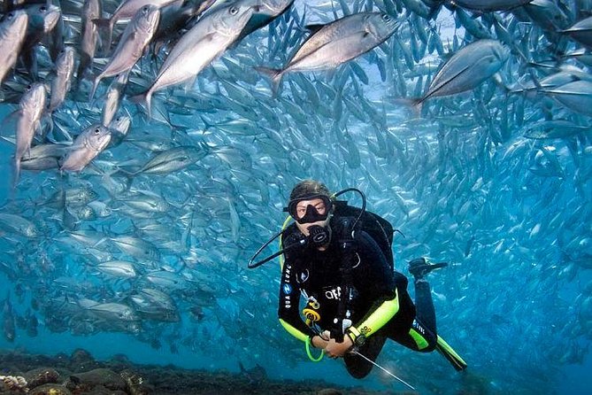 Tulamben Diving Tour Shipwreck USS Bali - Who This Tulamben USS Liberty Tour Fits Best