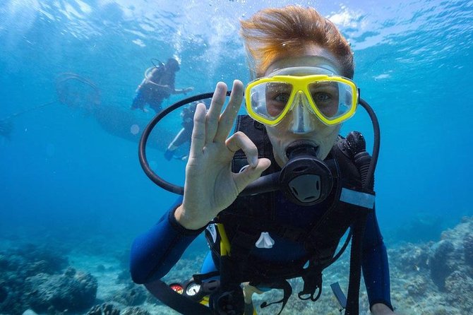 Tulamben Diving Tour Shipwreck USS Bali - Should You Book This USS Liberty USS Liberty Tour From Tulamben?