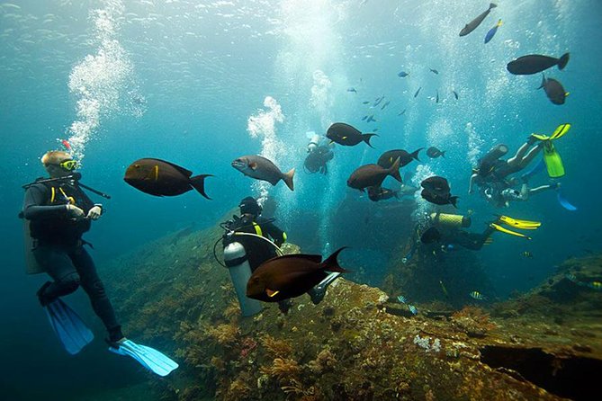 Tulamben Diving Tour Shipwreck USS Bali - USS Liberty Shipwreck: What You’re Really Going For
