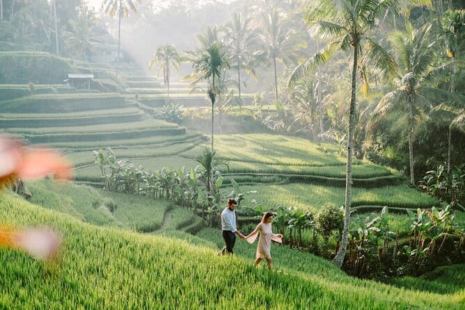 Ubud 1 Day Tour (Private & All-Inclusive) - d’Alas Warung lunch: rice-field views without the hassle