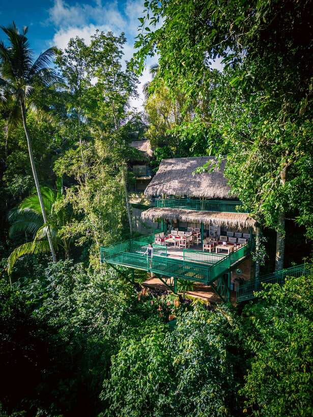 Ubud: Alas Harum Day-Pass, Swing, Sky Bike & Flying Fox - Ubud Rice Terrace Views at Alas Harum Bali, and Why Your Start Time Matters