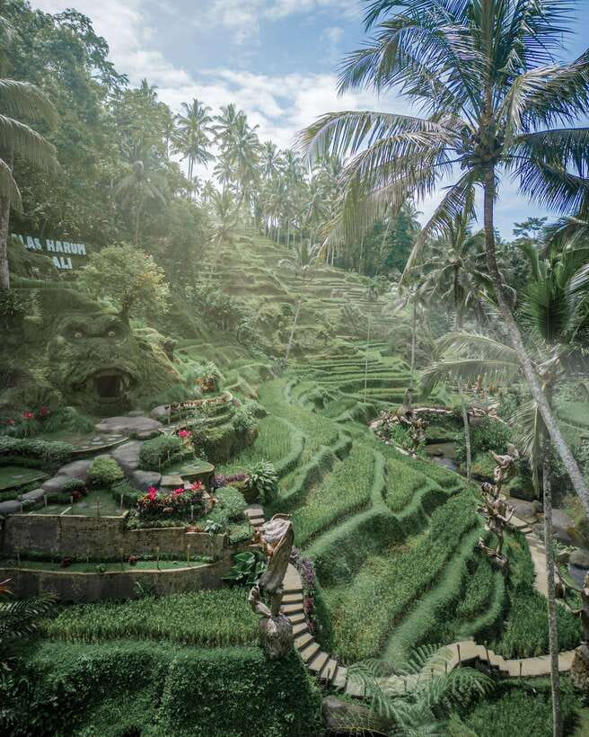 Ubud: Alas Harum Day-Pass, Swing, Sky Bike & Flying Fox - The Super Extreme Swing: 25 Meters Up Over Rice Fields