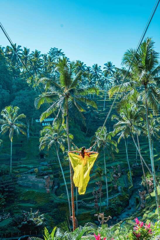 Ubud: Alas Harum Day-Pass, Swing, Sky Bike & Flying Fox - Birdnest, Caves, and Pathways: The Walking Part That Makes It Feel Real