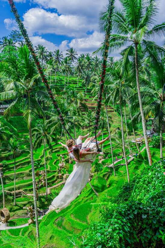 Ubud: Alas Harum Day-Pass, Swing, Sky Bike & Flying Fox - Price and What You Really Get for Around $4.31