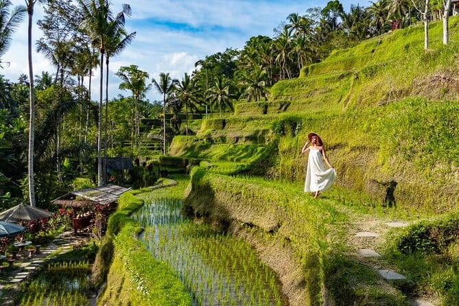 Ubud All-Inclusive Tour with Swing and Lunch - Key takeaways before you go