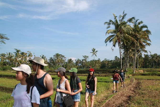 Ubud All-Inclusive Tour with Swing and Lunch - D Alas Warung lunch, Balinese food in a village-style setting