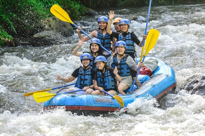 Ubud Ayung Water Rafting included Lunch and Transfer - Buffet lunch facing rice fields, plus showers that change everything
