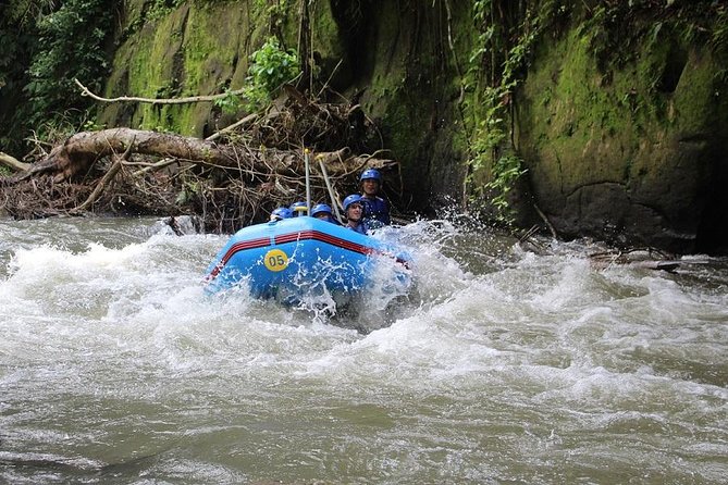Ubud Ayung Water Rafting included Lunch and Transfer - Should you book Ayung Water Rafting with lunch and transfer?