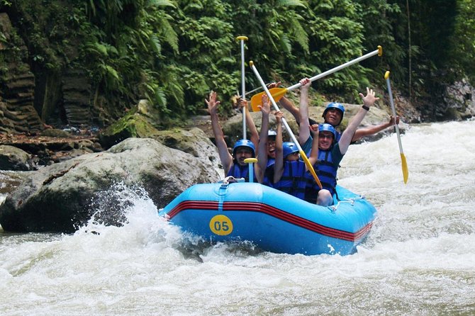 Ubud Ayung Water Rafting included Lunch and Transfer - Jungle views and the waterfall stop you will actually remember