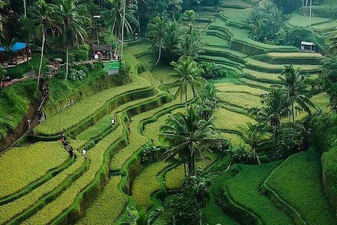 Ubud Bali Driver ( Bali Custom Tour ) - Your Route in Plain English: Tanah Lot Through Ubud Art Market