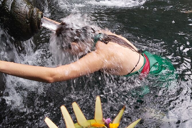 Ubud Bali Driver - Private Driver in Ubud - Tibumana Waterfall: scenic views without the marathon feel