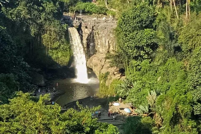 Ubud Best Tour - Why this Ubud day feels like a good plan, not a long chore