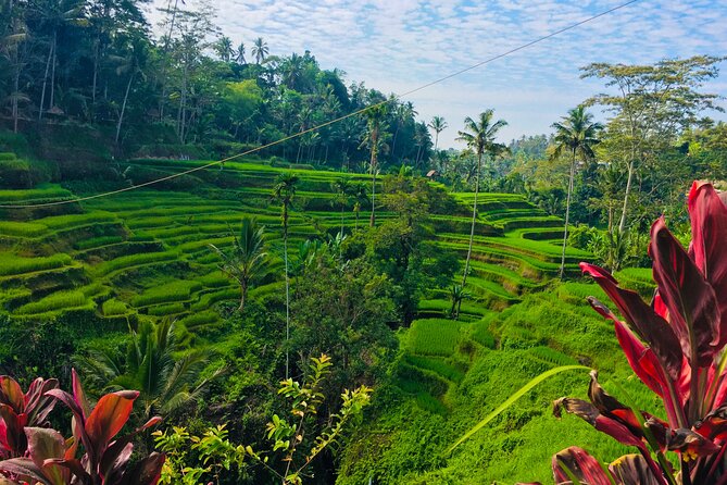 Ubud Best Tour - Stop 2, Sacred Monkey Forest Sanctuary: wildlife viewing with rules that matter
