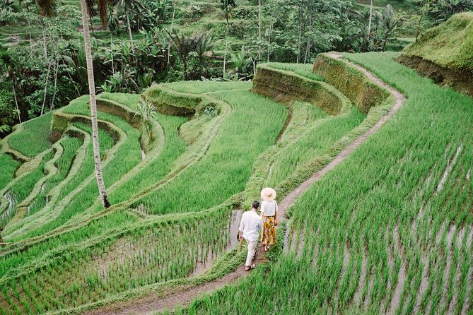 Ubud City Tour II: Monkey Forest, Palace, Art Market, and Rice Terrace - Ubud Traditional Art Market: shopping without losing the day
