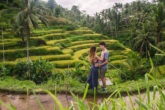Ubud City Tour II: Monkey Forest, Palace, Art Market, and Rice Terrace - Sacred Monkey Forest Sanctuary: the hour that sets the tone