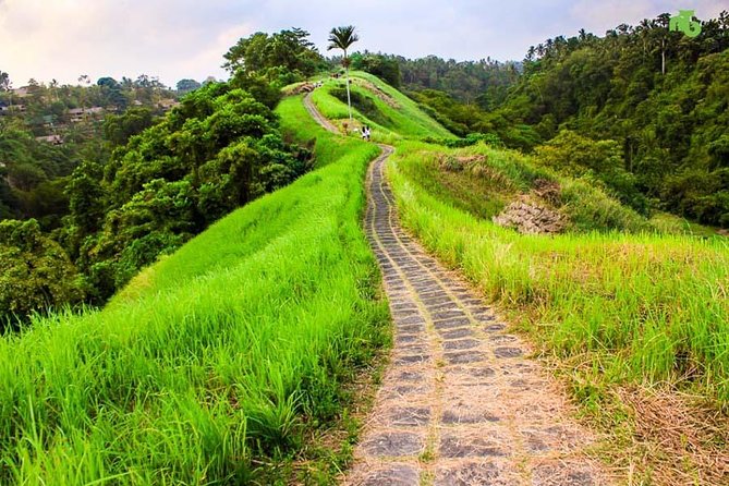 Ubud Countryside Tour: Campuhan Ridge Walk and Rice Terrace - Price and what you really get for $40
