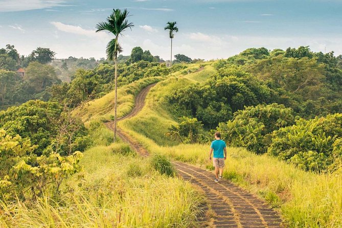 Ubud Countryside Tour: Campuhan Ridge Walk and Rice Terrace - Stop 3: Tegalalang rice terraces and the small donation for tracking