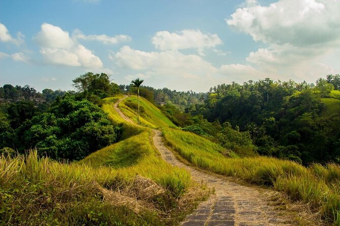 Ubud Countryside Tour: Campuhan Ridge Walk and Rice Terrace - How the 9:00 am schedule works (and why it matters)