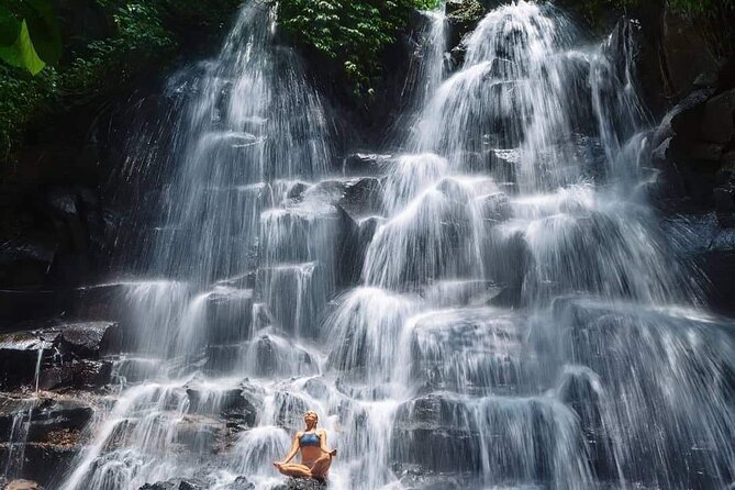 Ubud Customized Full Day Tour - Visit Most favorite In Ubud - Stop 1: Tegalalang Rice Terrace and the Art of a Good Walking Pace