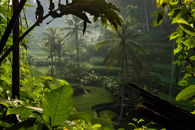 Ubud Day Tour - Top Things to do in Ubud + Local Ubud Guide - Terrace River Pool Swing: 30-meter thrill for photo seekers