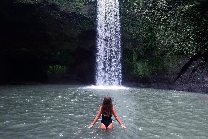 Ubud Day Tour : Waterfall, Temple and Local Night Market Tour - Price and value: how $21 can actually feel fair in Ubud