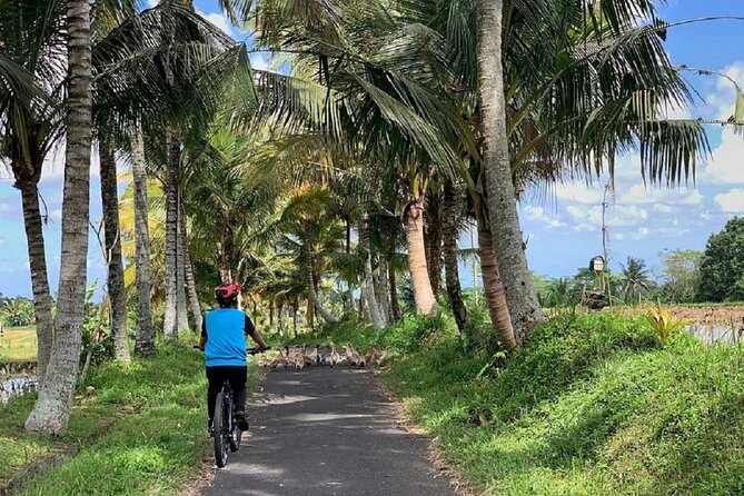Ubud: Downhill Cycling with Volcano, Rice Terraces and Meal - Lunch at Banjar Laplapan: filling end to the day, with a couple notes
