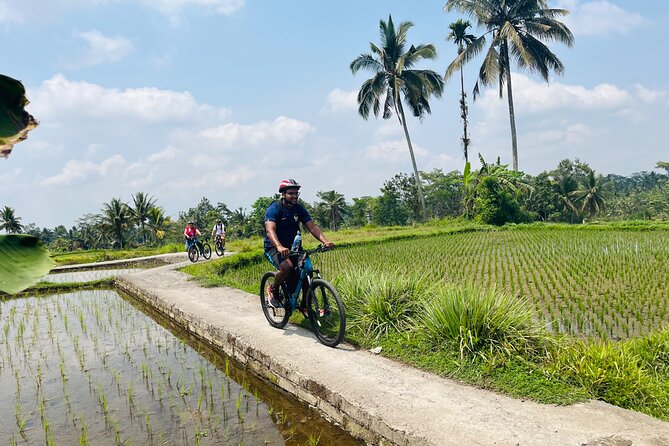 Ubud eBikes Tour to Tegallalang Rice Terrace - The first stop at the eBikes Ubud Tour office: get comfortable fast