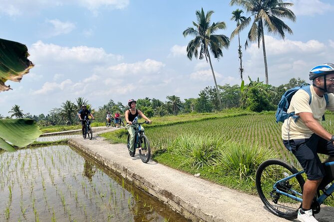 Ubud eBikes Tour to Tegallalang Rice Terrace - Petulu riding time: countryside views with guided context